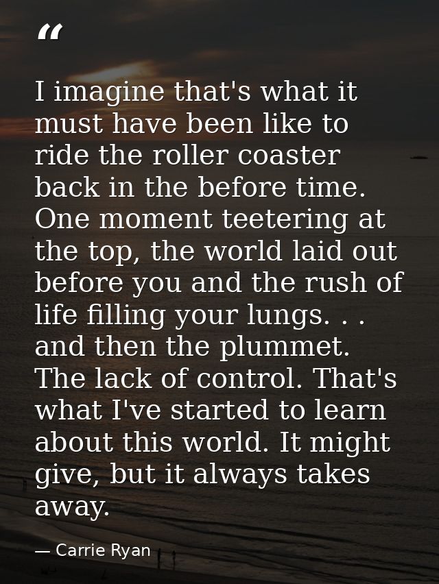 I imagine that's what it must have been like to ride the roller coaster back in the before time. One moment teetering at — Carrie Ryan