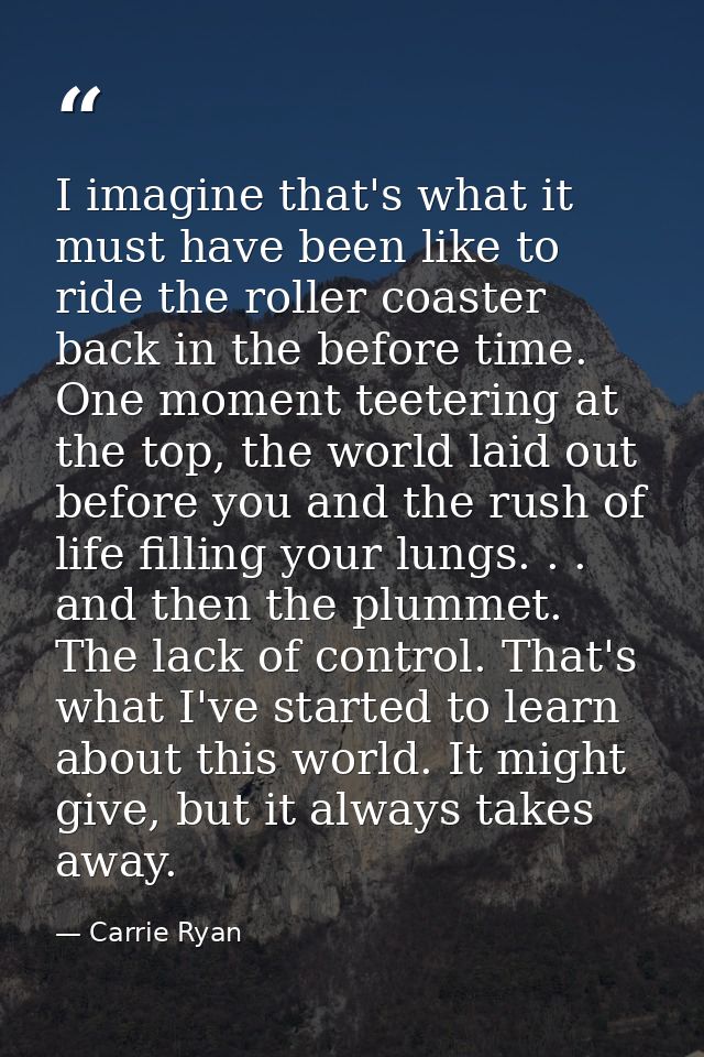 I imagine that's what it must have been like to ride the roller coaster back in the before time. One moment teetering at — Carrie Ryan