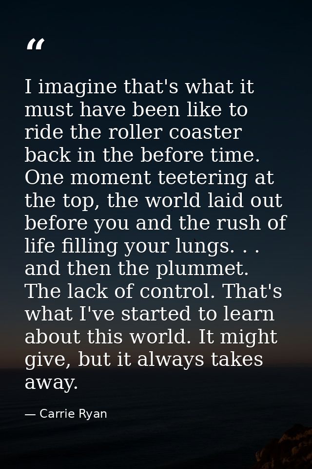 I imagine that's what it must have been like to ride the roller coaster back in the before time. One moment teetering at — Carrie Ryan