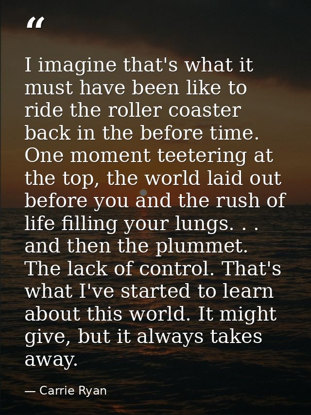 I imagine that's what it must have been like to ride the roller coaster back in the before time. One moment teetering at — Carrie Ryan