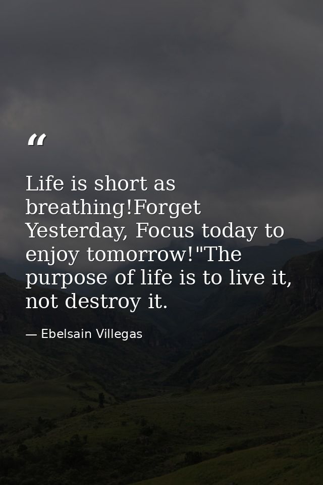Life is short as breathing!Forget Yesterday, Focus today to enjoy tomorrow!"The purpose of life is to live it, not destr — Ebelsain Villegas