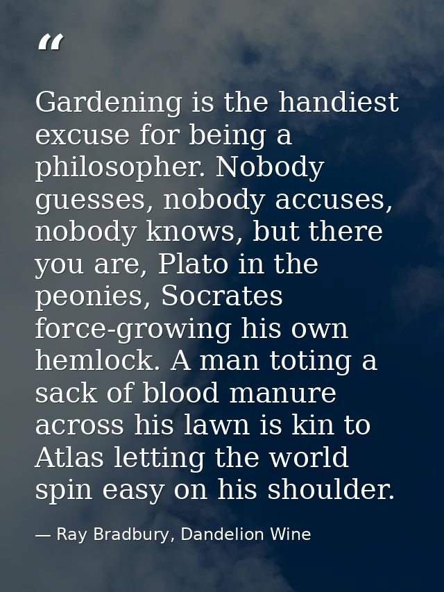 Gardening is the handiest excuse for being a philosopher. Nobody guesses, nobody accuses, nobody knows, but there you ar — Ray Bradbury, Dandelion Wine
