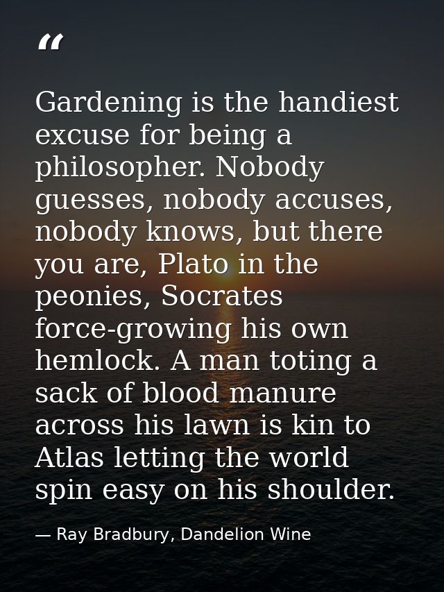 Gardening is the handiest excuse for being a philosopher. Nobody guesses, nobody accuses, nobody knows, but there you ar — Ray Bradbury, Dandelion Wine
