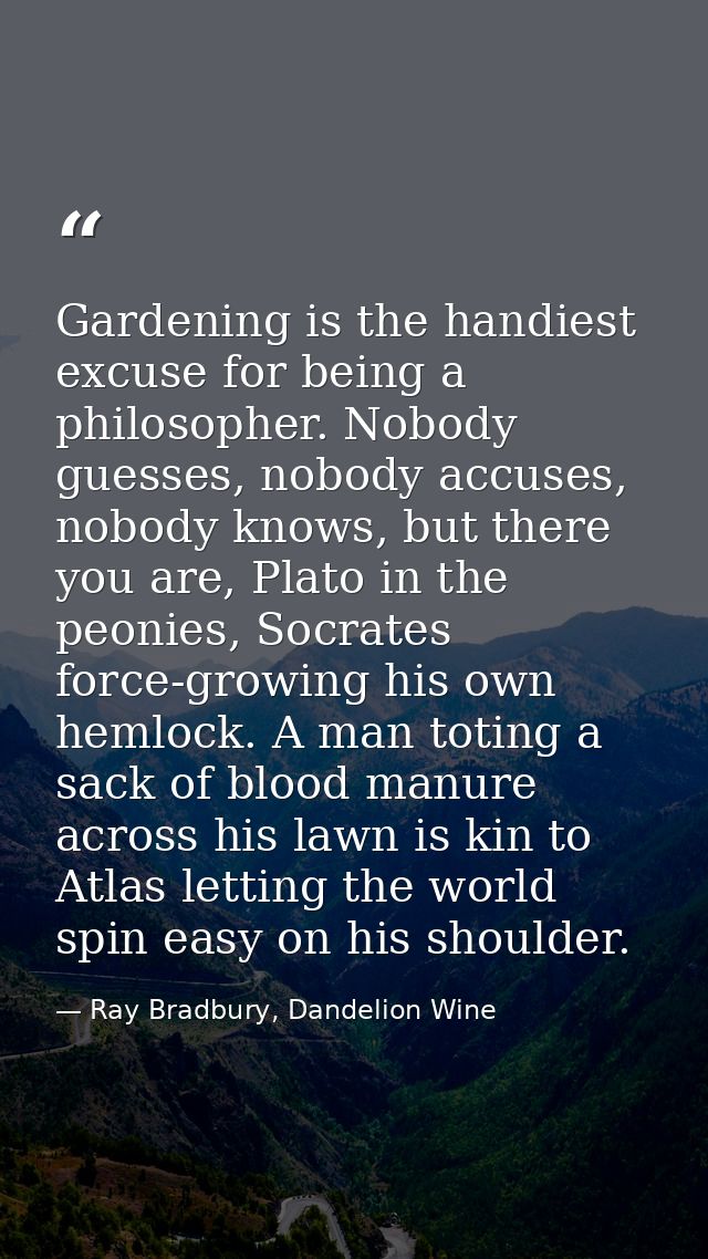 Gardening is the handiest excuse for being a philosopher. Nobody guesses, nobody accuses, nobody knows, but there you ar — Ray Bradbury, Dandelion Wine