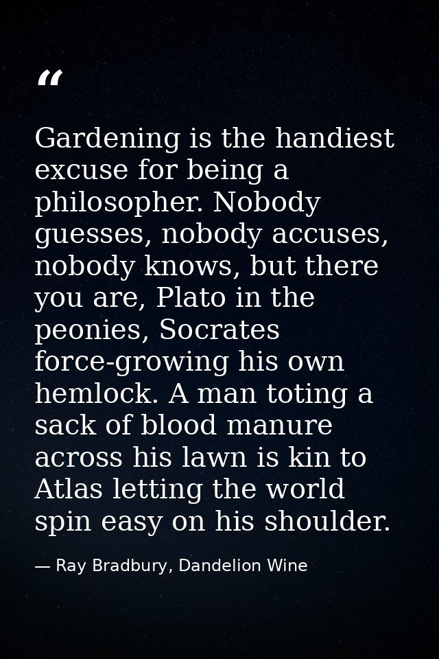 Gardening is the handiest excuse for being a philosopher. Nobody guesses, nobody accuses, nobody knows, but there you ar — Ray Bradbury, Dandelion Wine