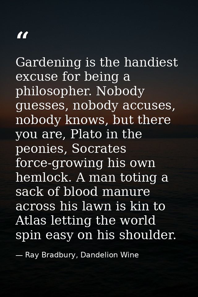 Gardening is the handiest excuse for being a philosopher. Nobody guesses, nobody accuses, nobody knows, but there you ar — Ray Bradbury, Dandelion Wine