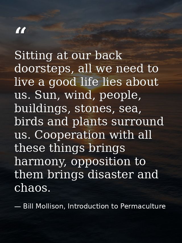 Sitting at our back doorsteps, all we need to live a good life lies about us. Sun, wind, people, buildings, stones, sea, — Bill Mollison, Introduction to Permaculture