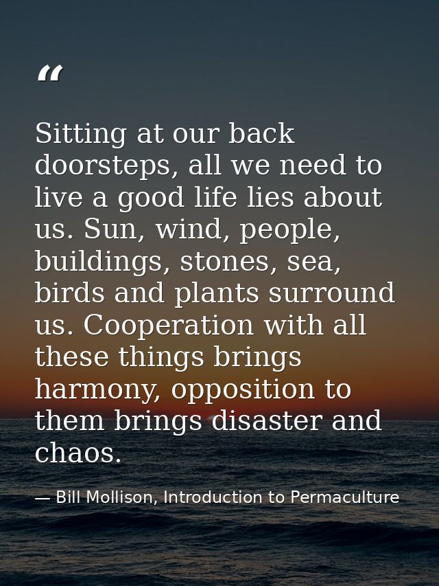 Sitting at our back doorsteps, all we need to live a good life lies about us. Sun, wind, people, buildings, stones, sea, — Bill Mollison, Introduction to Permaculture