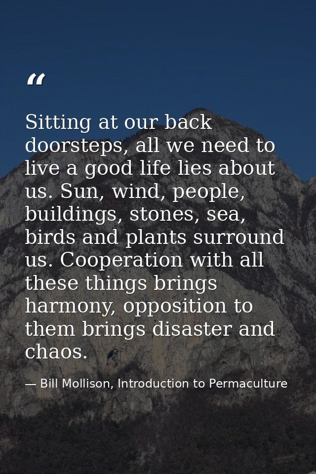 Sitting at our back doorsteps, all we need to live a good life lies about us. Sun, wind, people, buildings, stones, sea, — Bill Mollison, Introduction to Permaculture