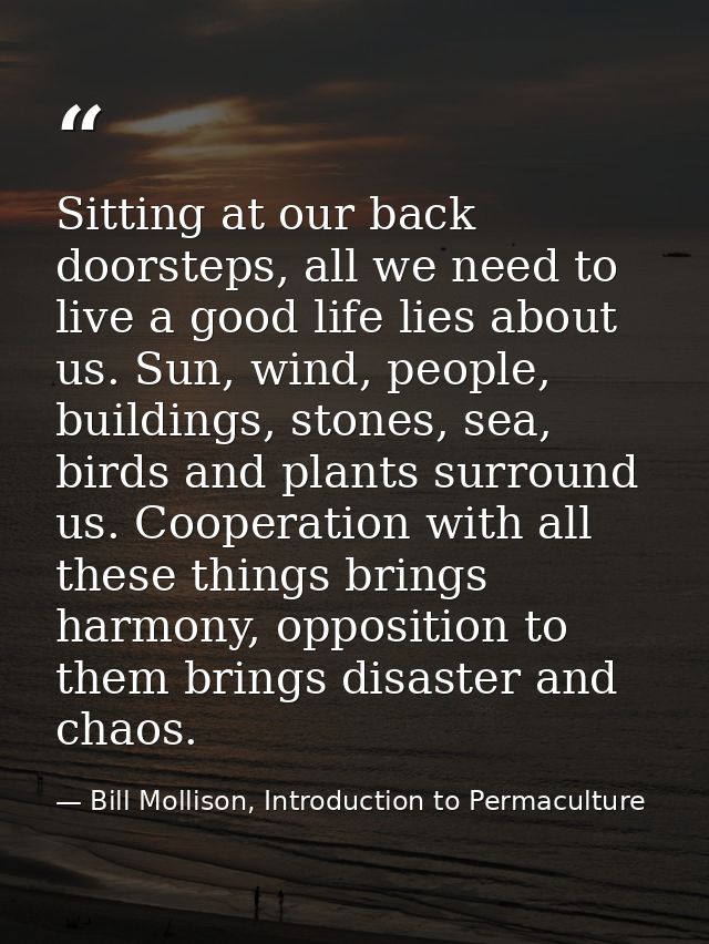 Sitting at our back doorsteps, all we need to live a good life lies about us. Sun, wind, people, buildings, stones, sea, — Bill Mollison, Introduction to Permaculture