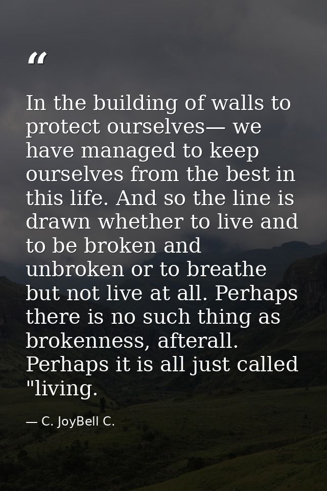 In the building of walls to protect ourselves— we have managed to keep ourselves from the best in this life. And so the  — C. JoyBell C.