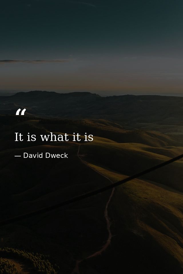 It is what it is — David Dweck