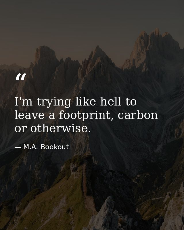 I'm trying like hell to leave a footprint, carbon or otherwise. — M.A. Bookout