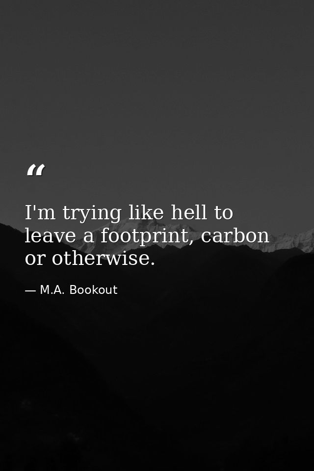 I'm trying like hell to leave a footprint, carbon or otherwise. — M.A. Bookout