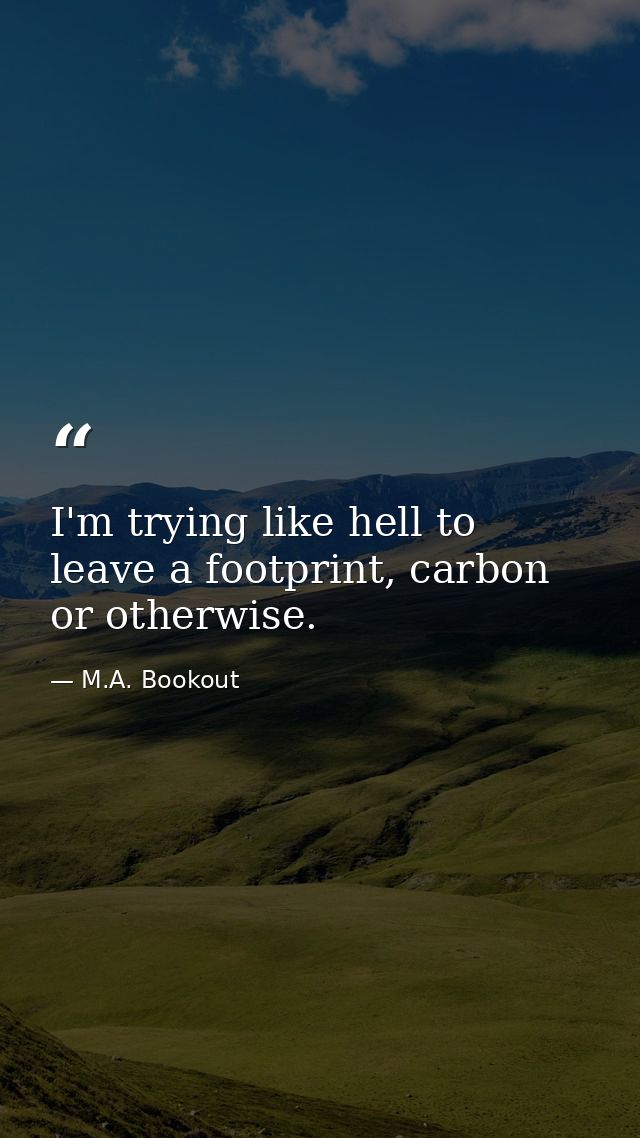 I'm trying like hell to leave a footprint, carbon or otherwise. — M.A. Bookout