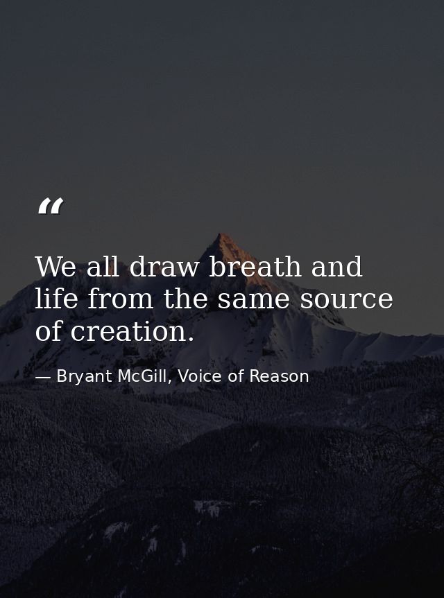 We all draw breath and life from the same source of creation. — Bryant McGill, Voice of Reason