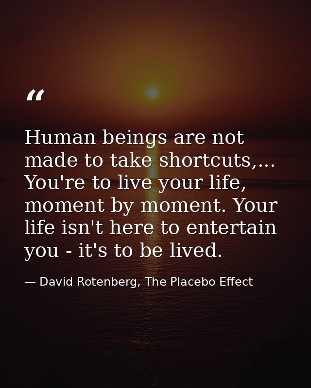 Human beings are not made to take shortcuts,... You're to live your life, moment by moment. Your life isn't here to ente — David Rotenberg, The Placebo Effect