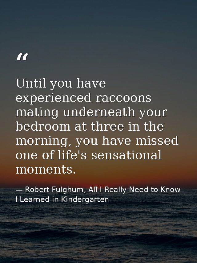 Until you have experienced raccoons mating underneath your bedroom at three in the morning, you have missed one of life' — Robert Fulghum, All I Really Need to Know I Learned in Kindergarten