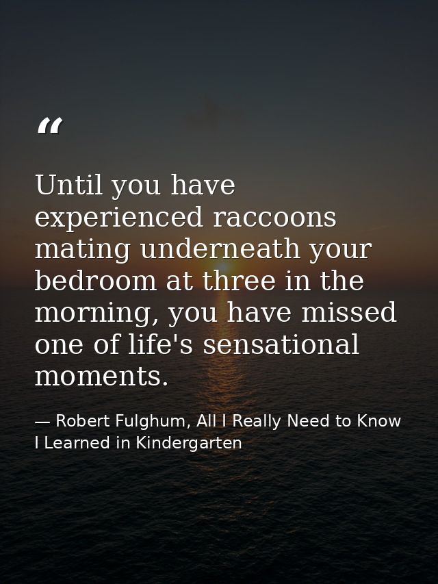 Until you have experienced raccoons mating underneath your bedroom at three in the morning, you have missed one of life' — Robert Fulghum, All I Really Need to Know I Learned in Kindergarten