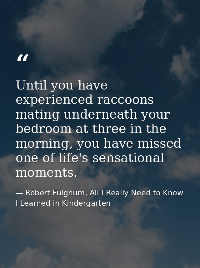 Until you have experienced raccoons mating underneath your bedroom at three in the morning, you have missed one of life' — Robert Fulghum, All I Really Need to Know I Learned in Kindergarten