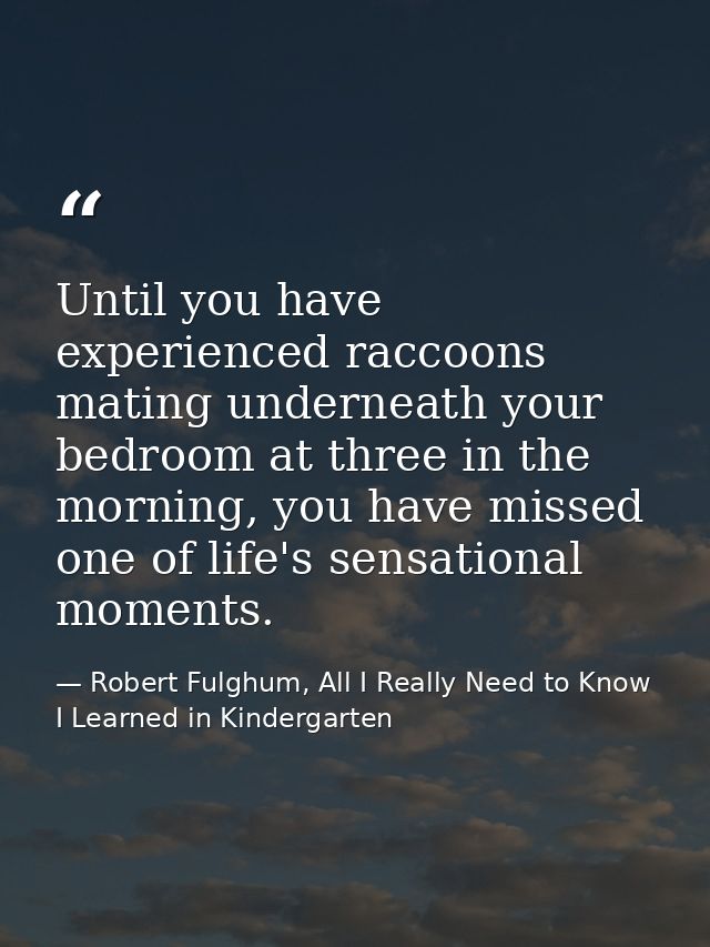 Until you have experienced raccoons mating underneath your bedroom at three in the morning, you have missed one of life' — Robert Fulghum, All I Really Need to Know I Learned in Kindergarten