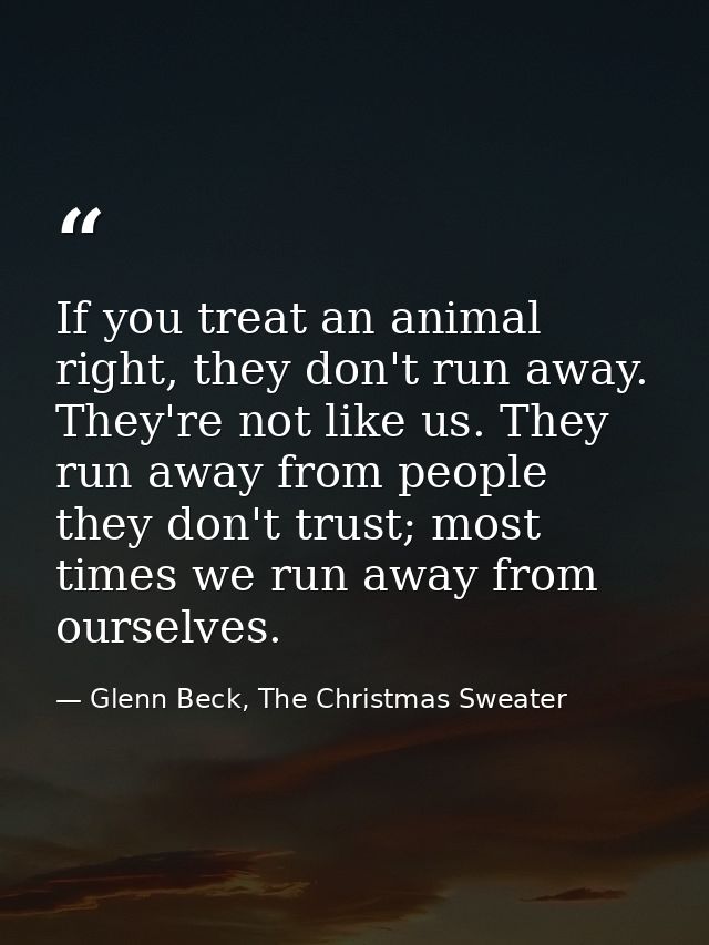 If you treat an animal right, they don't run away. They're not like us. They run away from people they don't trust; most — Glenn Beck, The Christmas Sweater