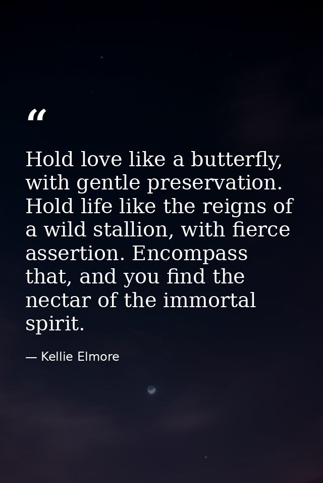 Hold love like a butterfly, with gentle preservation. Hold life like the reigns of a wild stallion, with fierce assertio — Kellie Elmore