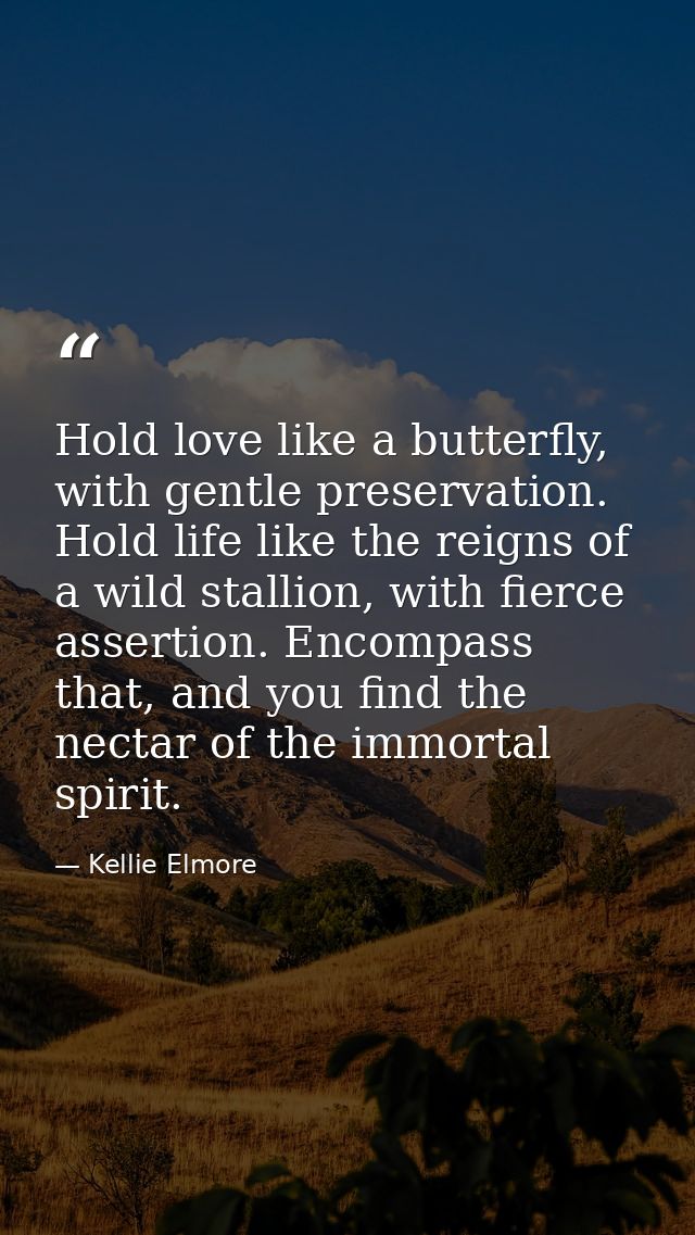 Hold love like a butterfly, with gentle preservation. Hold life like the reigns of a wild stallion, with fierce assertio — Kellie Elmore