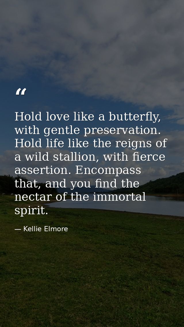 Hold love like a butterfly, with gentle preservation. Hold life like the reigns of a wild stallion, with fierce assertio — Kellie Elmore