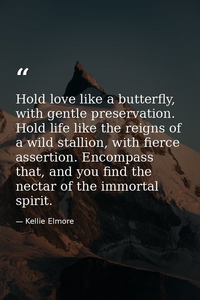 Hold love like a butterfly, with gentle preservation. Hold life like the reigns of a wild stallion, with fierce assertio — Kellie Elmore