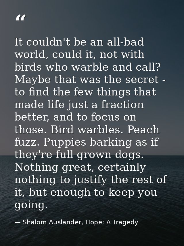 It couldn't be an all-bad world, could it, not with birds who warble and call? Maybe that was the secret - to find the f — Shalom Auslander, Hope: A Tragedy