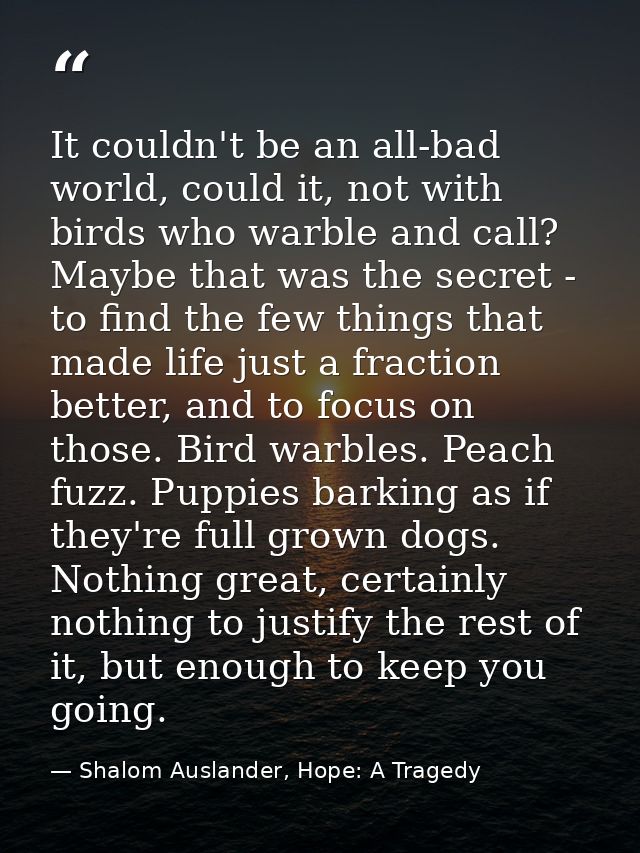 It couldn't be an all-bad world, could it, not with birds who warble and call? Maybe that was the secret - to find the f — Shalom Auslander, Hope: A Tragedy