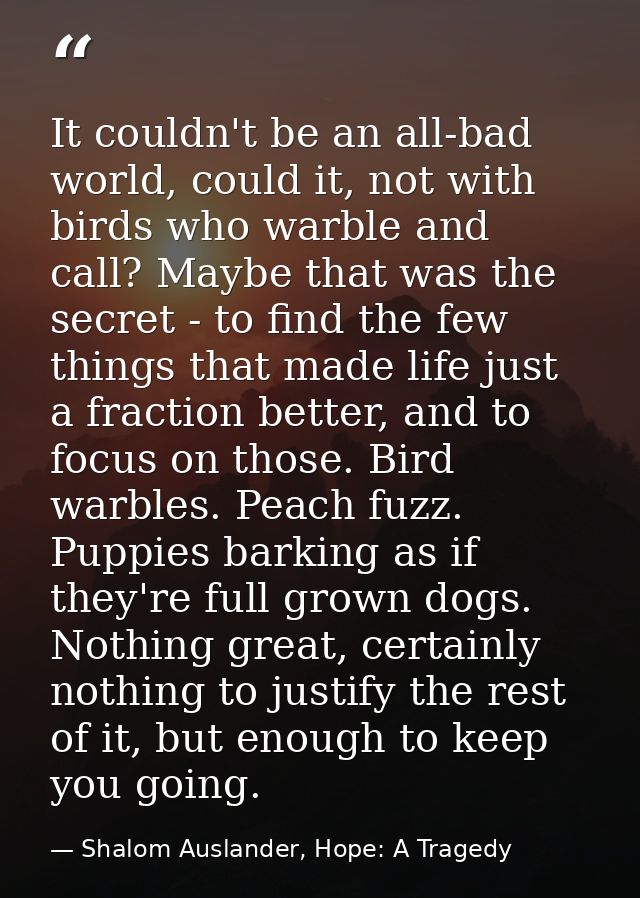 It couldn't be an all-bad world, could it, not with birds who warble and call? Maybe that was the secret - to find the f — Shalom Auslander, Hope: A Tragedy