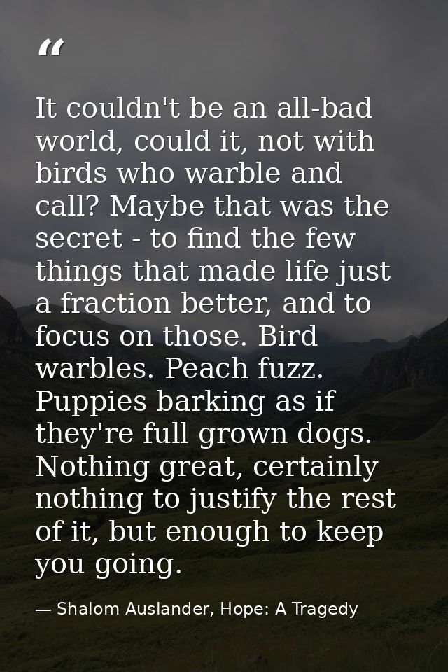 It couldn't be an all-bad world, could it, not with birds who warble and call? Maybe that was the secret - to find the f — Shalom Auslander, Hope: A Tragedy