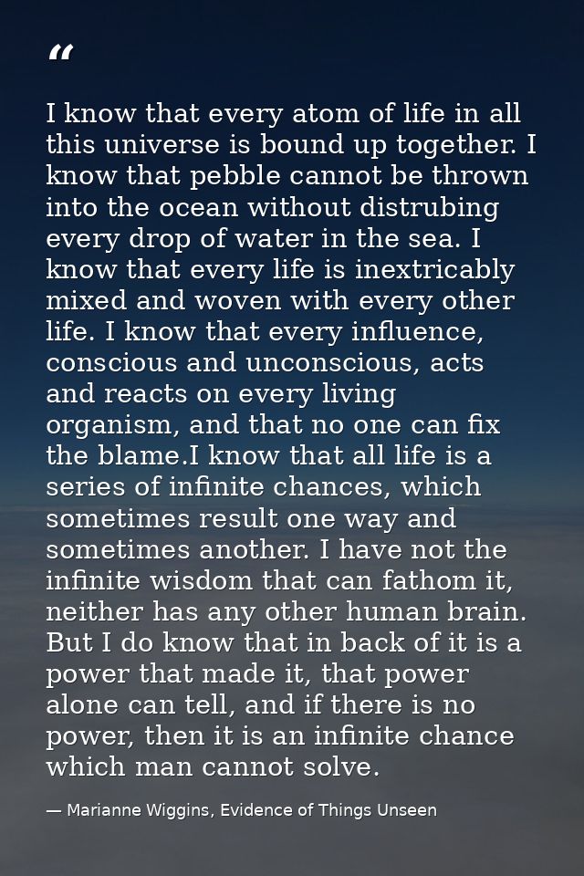 I know that every atom of life in all this universe is bound up together. I know that pebble cannot be thrown into the o — Marianne Wiggins, Evidence of Things Unseen