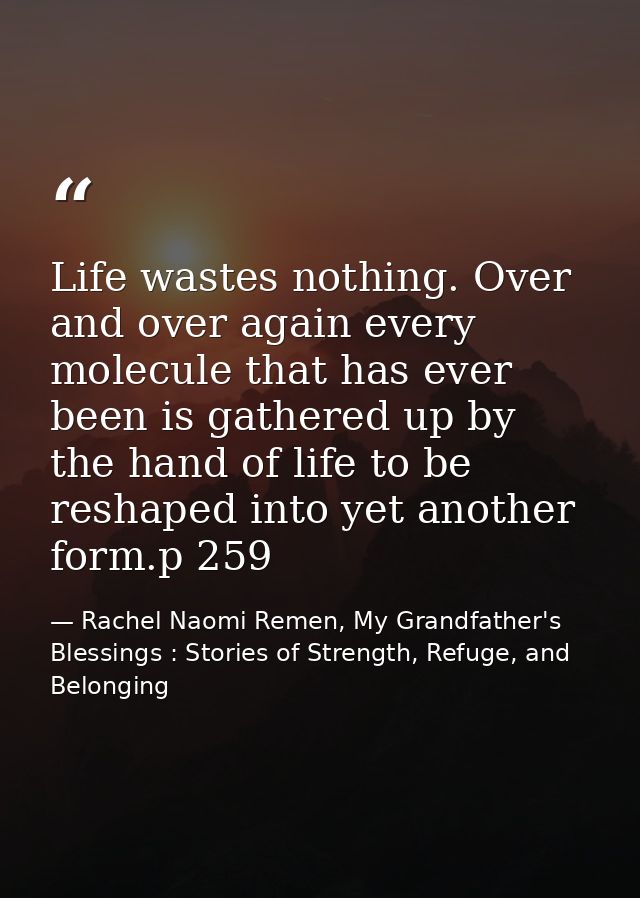 Life wastes nothing. Over and over again every molecule that has ever been is gathered up by the hand of life to be resh — Rachel Naomi Remen, My Grandfather's Blessings : Stories of Strength, Refuge, and Belonging