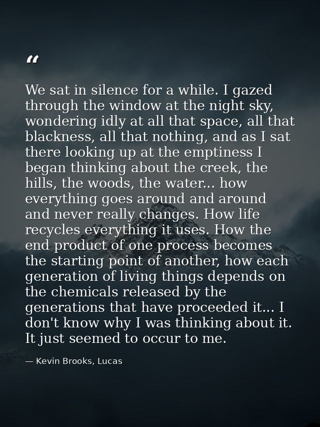 We sat in silence for a while. I gazed through the window at the night sky, wondering idly at all that space, all that b — Kevin Brooks, Lucas