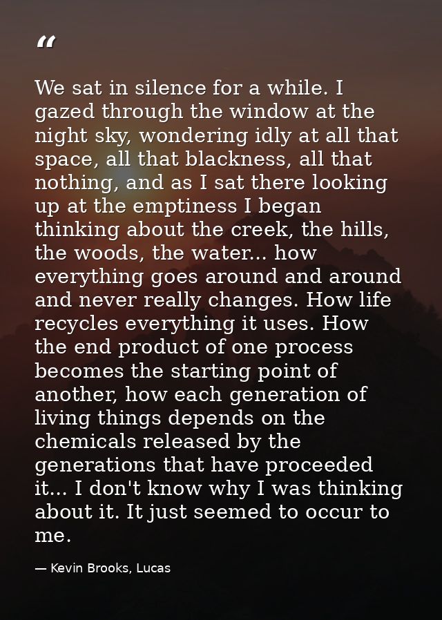 We sat in silence for a while. I gazed through the window at the night sky, wondering idly at all that space, all that b — Kevin Brooks, Lucas