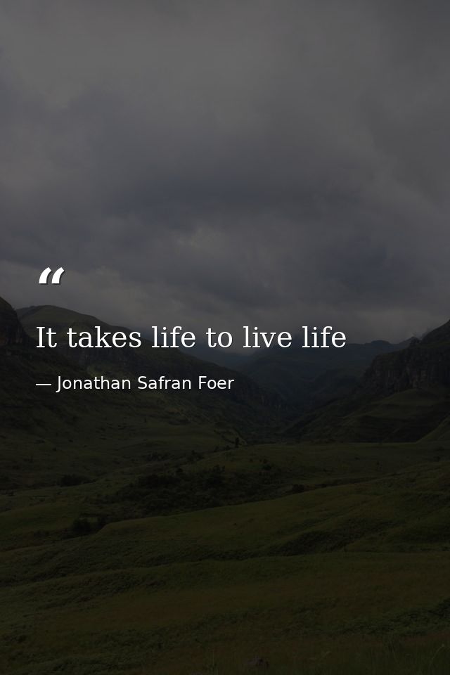 It takes life to live life — Jonathan Safran Foer