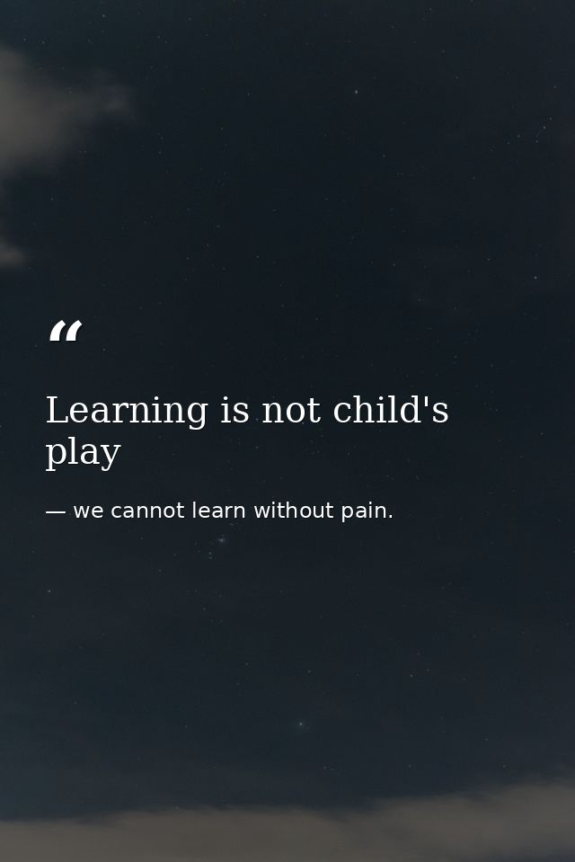 Learning is not child's play — we cannot learn without pain.