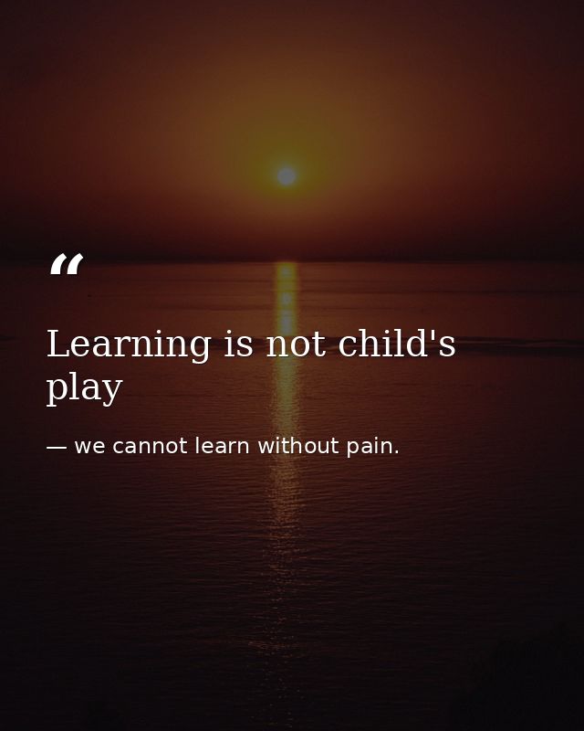 Learning is not child's play — we cannot learn without pain.