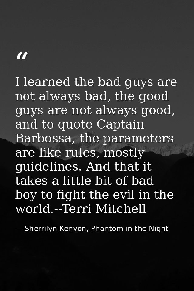 I learned the bad guys are not always bad, the good guys are not always good, and to quote Captain Barbossa, the paramet — Sherrilyn Kenyon, Phantom in the Night