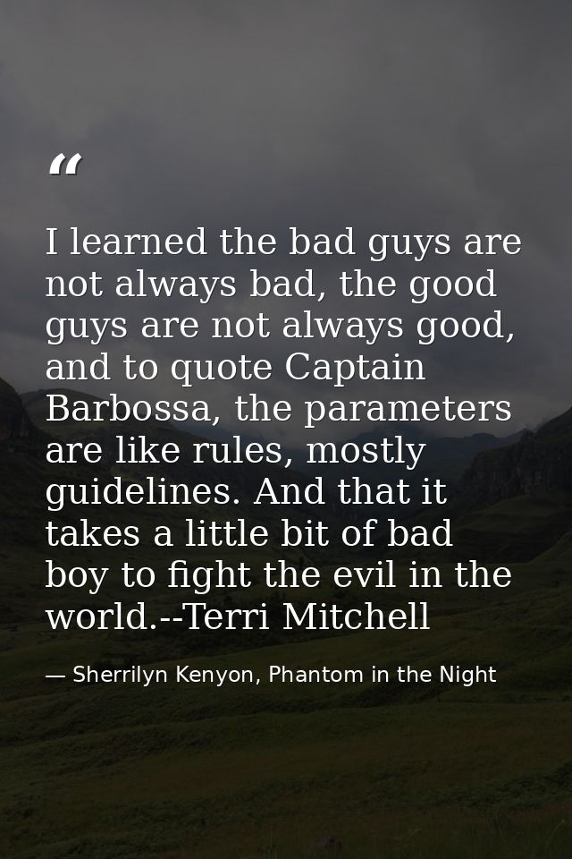 I learned the bad guys are not always bad, the good guys are not always good, and to quote Captain Barbossa, the paramet — Sherrilyn Kenyon, Phantom in the Night