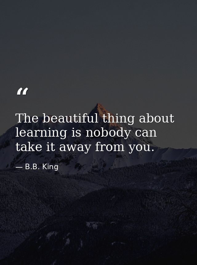 The beautiful thing about learning is nobody can take it away from you. — B.B. King