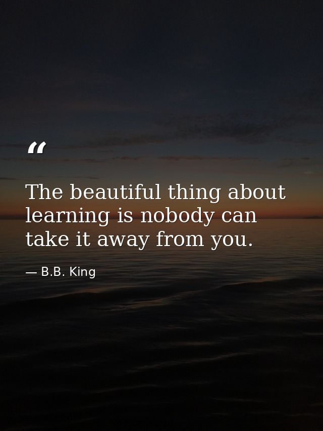 The beautiful thing about learning is nobody can take it away from you. — B.B. King