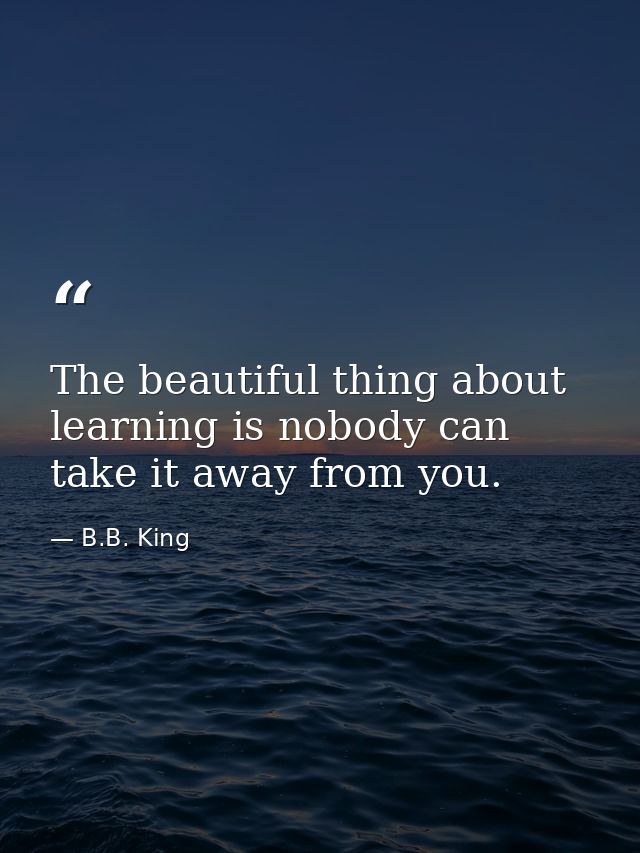 The beautiful thing about learning is nobody can take it away from you. — B.B. King