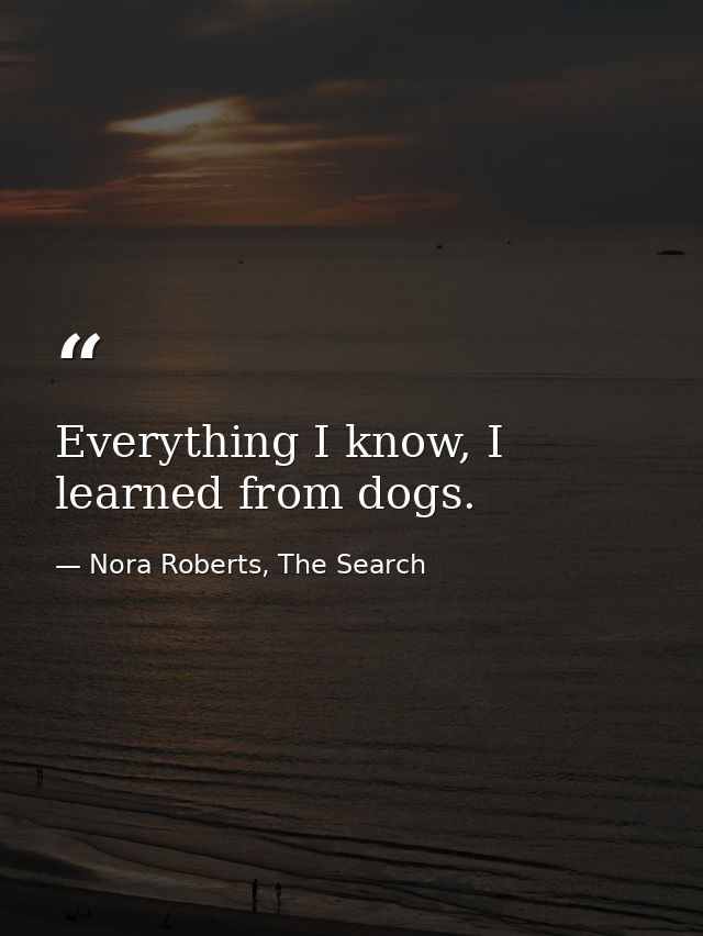 Everything I know, I learned from dogs. — Nora Roberts, The Search