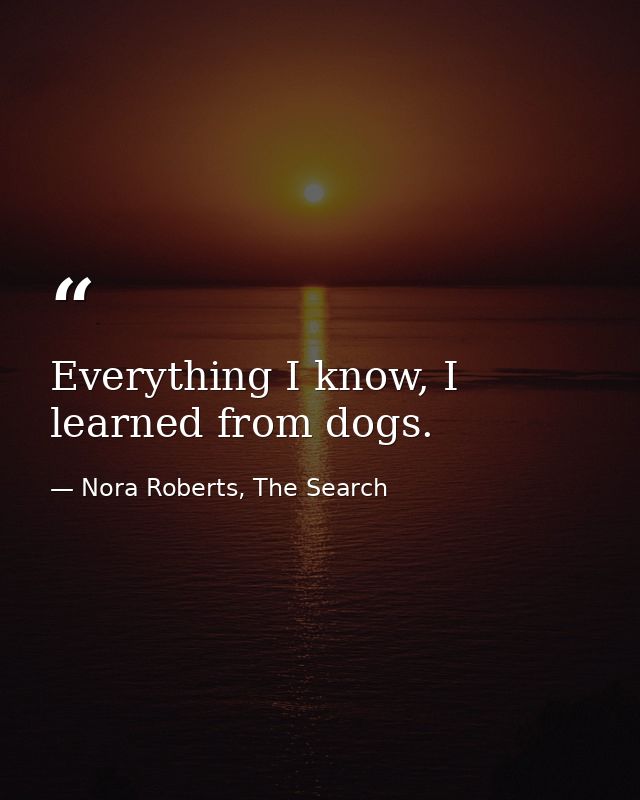 Everything I know, I learned from dogs. — Nora Roberts, The Search