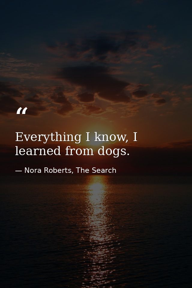Everything I know, I learned from dogs. — Nora Roberts, The Search