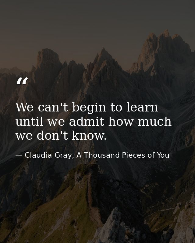We can't begin to learn until we admit how much we don't know. — Claudia Gray, A Thousand Pieces of You